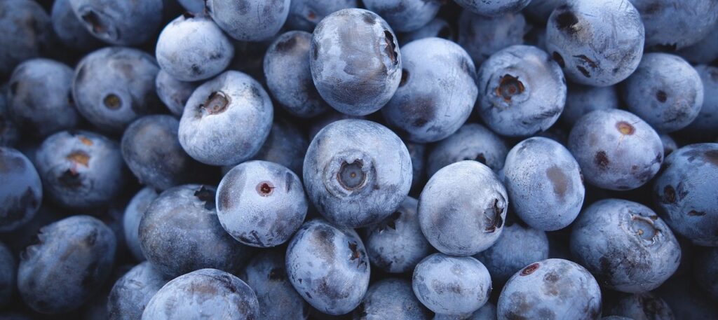 blueberries, blue, berries-3016758.jpg